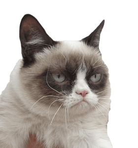 魚中魚樂活有限公司桃興分公司