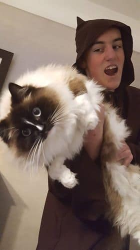 貝勒爺緬因貓舍