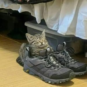 格萊雅寵物美學館