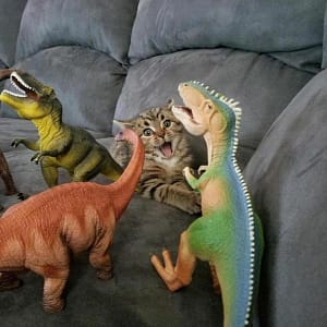 毛很多有限公司