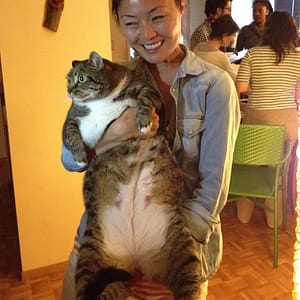 樂豪寵物貓企業社