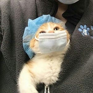 幸福寵物自助澡堂舘