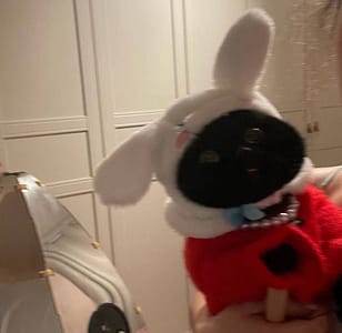 萬達寵物事業股份有限公司汐康分公司