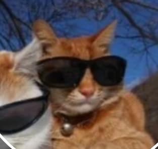 芭比狗狗寵物生活館