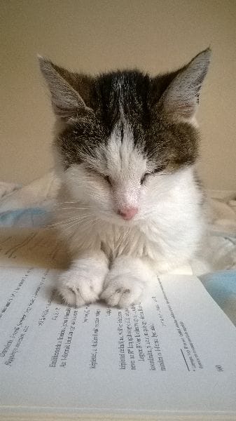 萬達寵物事業股份有限公司林口仁愛分公司