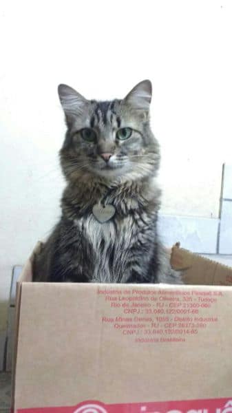 隆和有出脫商號