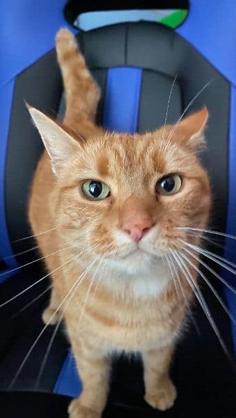 微笑寵物生活館