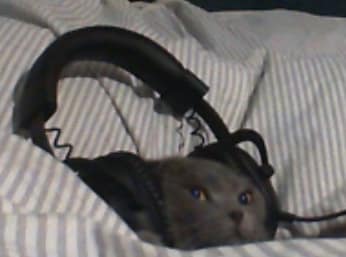 多彩貿易有限公司