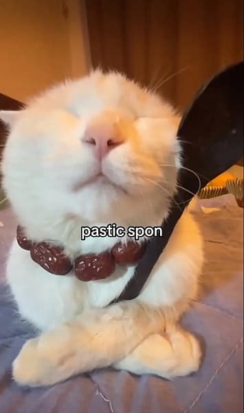 馬吉家族寵物館