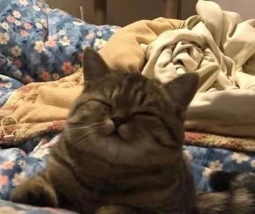 啵希實業有限公司