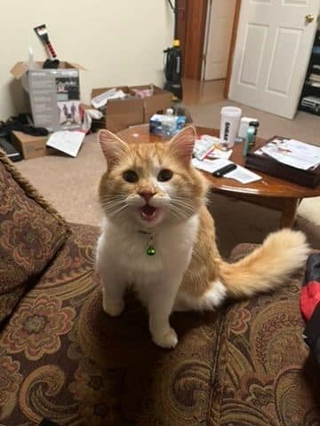 魚中魚樂活有限公司民族分公司