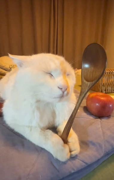 樂時頤國際企業有限公司