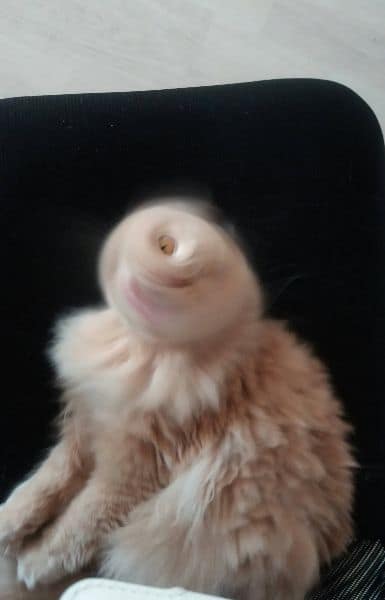 二十七度公寓社