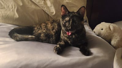 五心興業有限公司