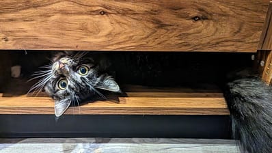 汪堡股份有限公司