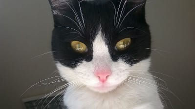 草木逢春有限公司