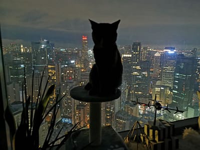 吹毛球痴洗澡吧