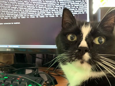 一級棒專業寵物美容店