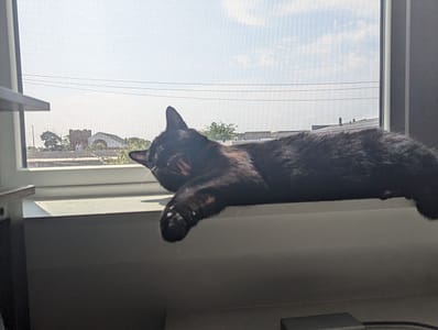 仁心動物醫院