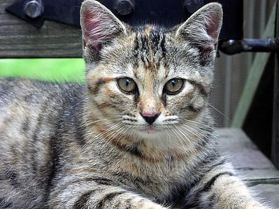 正隆昌世紀聯合有限公司林森門市