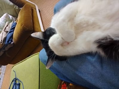 永佳寵物用品有限公司-學府分公司