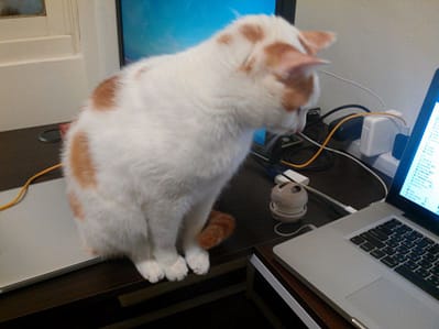 萌寶部落寵物館