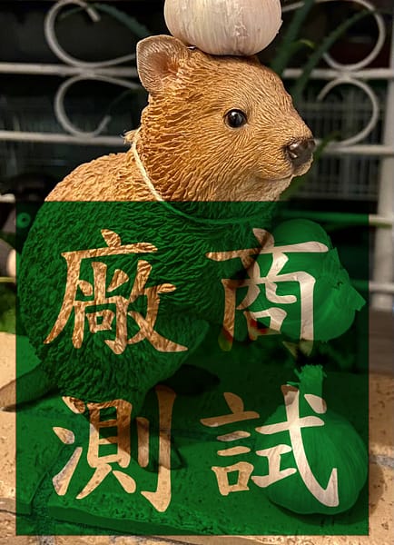 【待認養】混種犬 狗 (男生) - 連江縣流浪犬收容中心