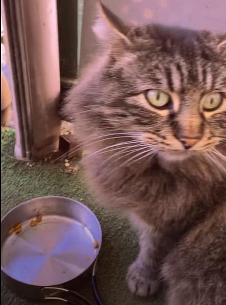 寵物王朝有限公司岡山分公司