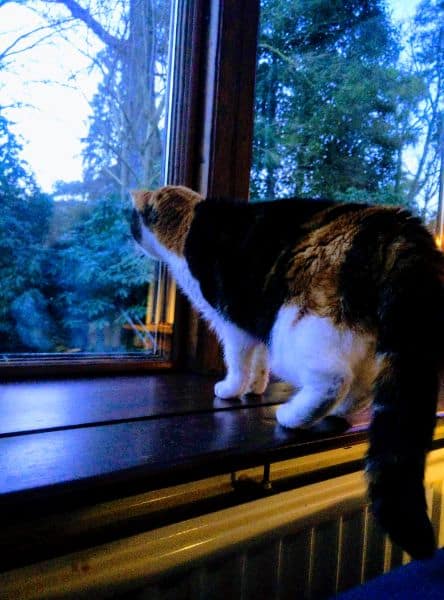 台灣皇爵貿易股份有限公司