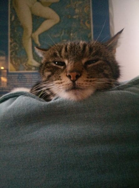 阿甘寵物王國舘