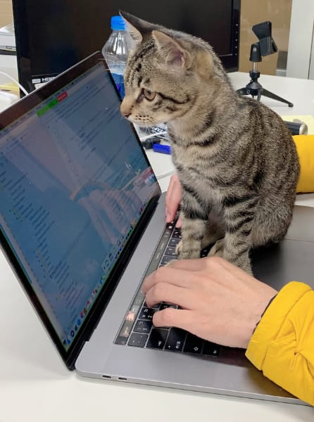 榮之家法國鬥牛犬舍