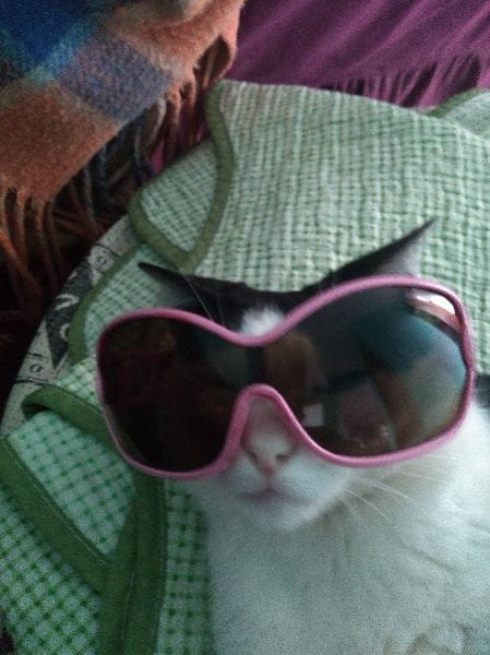 好窩寵物生活館