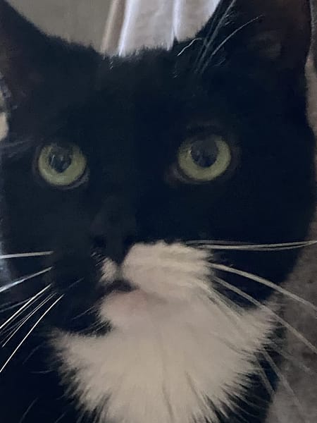 一起寵物生活館