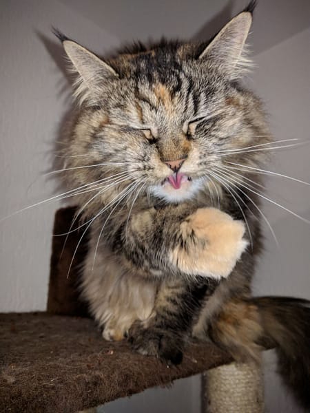 九八貿易有限公司