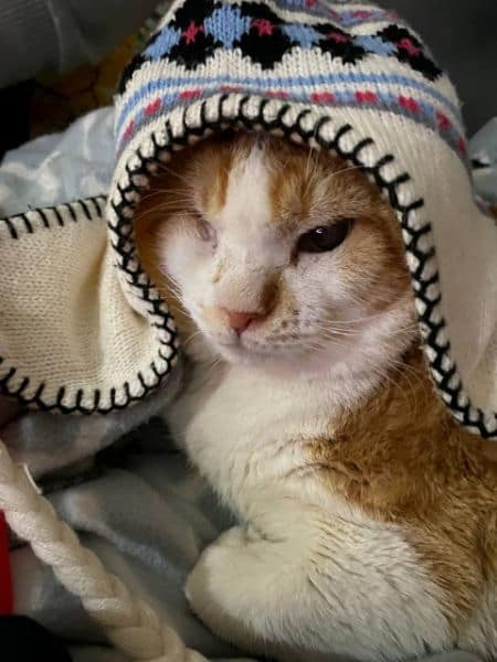 億昇昌有限公司