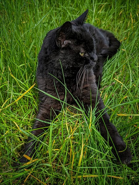 元氣寵物生活館