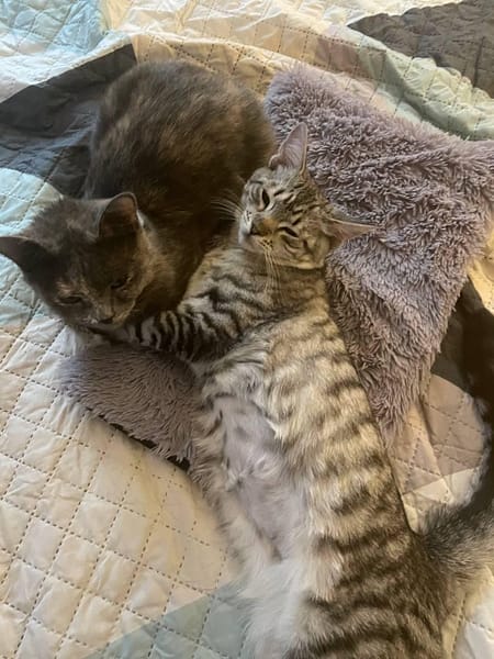 吾悠喵旅生活館