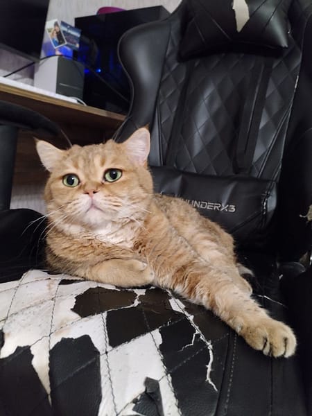 唯寵一生寵物生活館