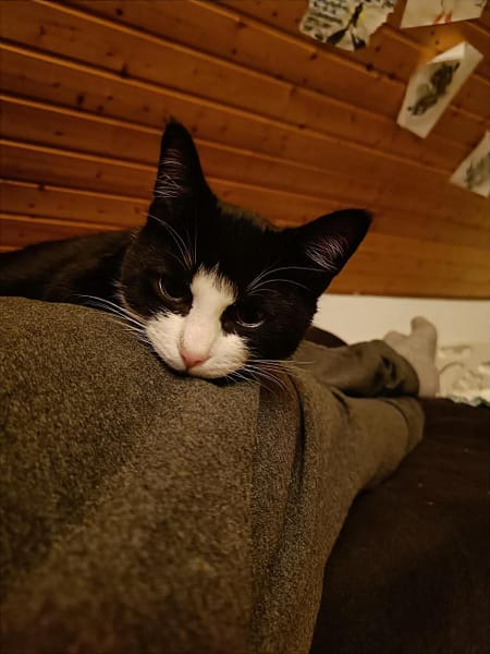 大魚寵物有限公司文昌分公司