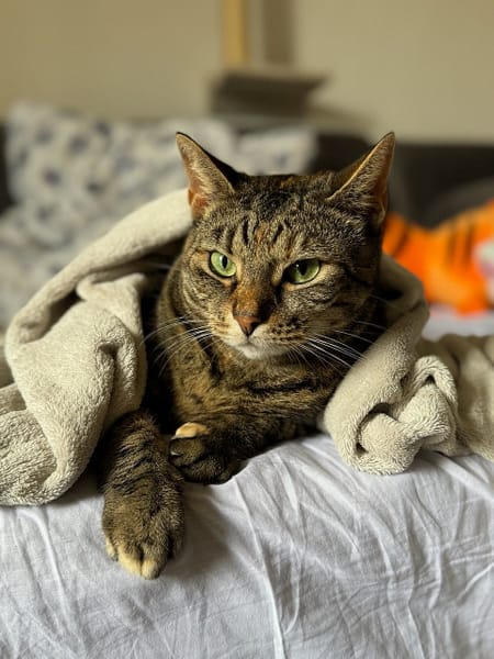 小客廳寵物事業有限公司