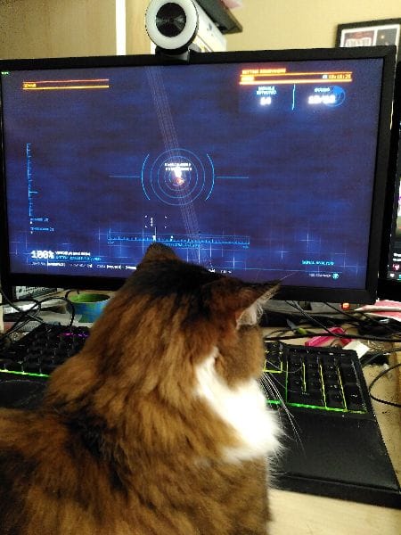 方舟二點零犬舍