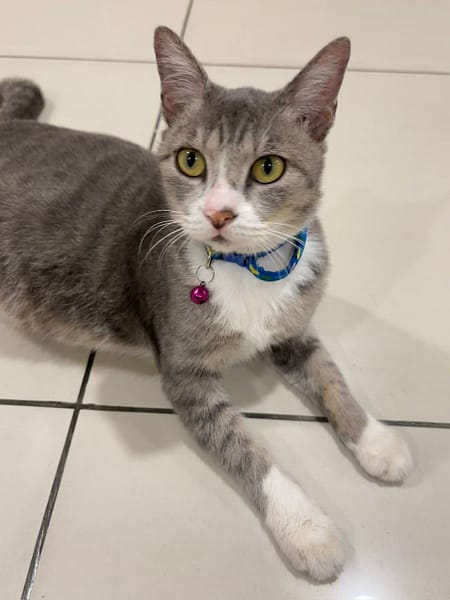 東森寵物雲股份有限公司屏東萬丹分公司