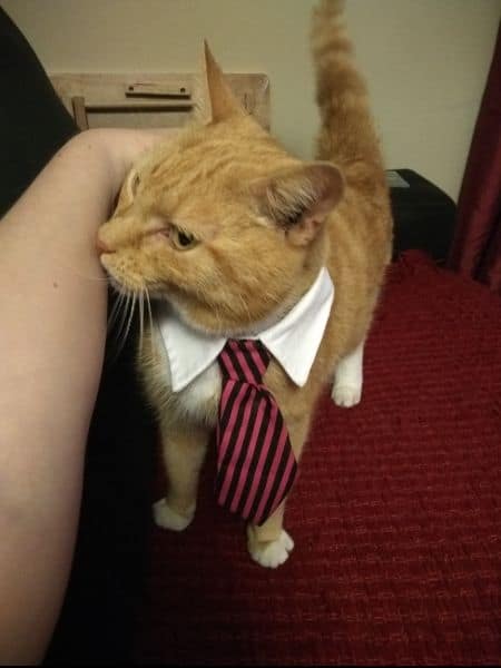 東森寵物雲股份有限公司澎湖馬公分公司