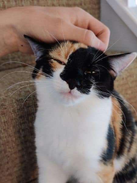 樂洗狗寵物生活館