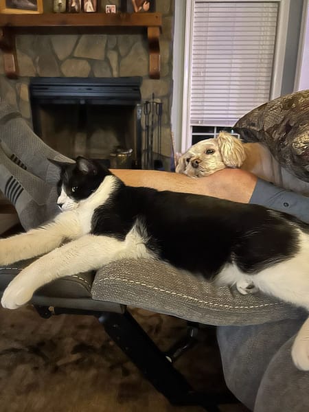 汪將湯屋寵物美容