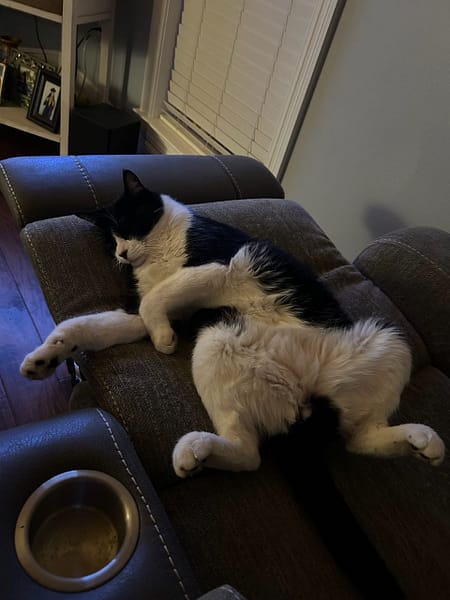 萬里福田寵物城堡有限公司