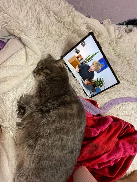 逗卡寵物生活館