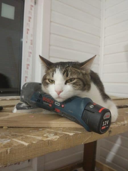 魅力火焰企業社