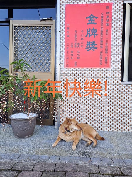 【急尋】混種犬 - 宜蘭縣冬山鄉中山村中城路附近 (黃)