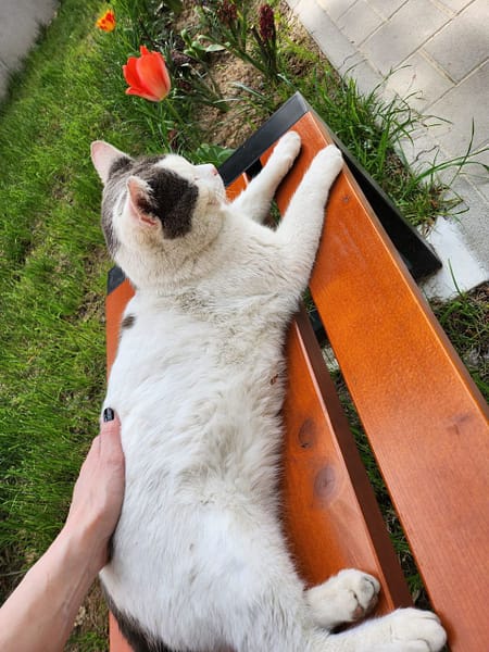 九八寵物精品有限公司